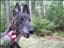 vintergrace